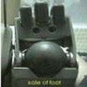 Sole of Foot